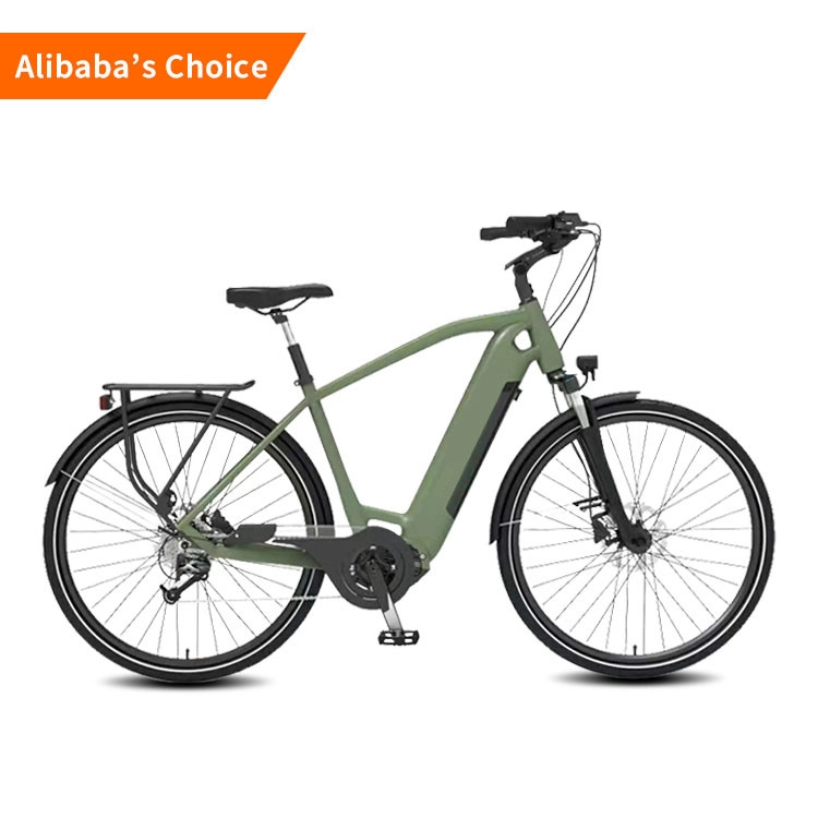 pl127022940 36v electric bike 29 inch 250w electric off road motorcycle