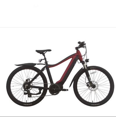 200w Xe đạp điện 2 bánh Người lớn 29 inch 40 Mph E Fat Tire Xe đạp có động cơ di động
