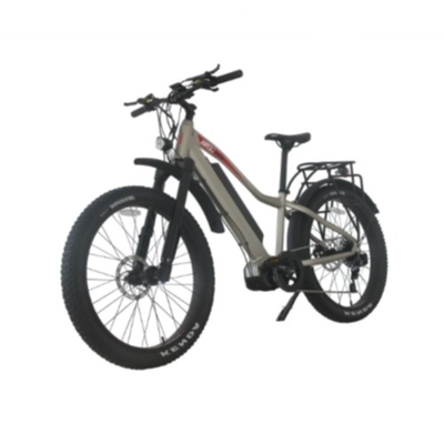 Xe đạp điện 26 inch 48v 1000w Xe đạp điện 26 inch Bánh xe đạp điện Mạnh mẽ trên đường địa hình