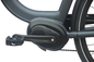 Xe đạp điện 10Ah 36v 250w với ắc quy tích hợp Động cơ trung tâm 36 Vôn Ebike