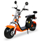 Fat Tire Harley Citycoco Electric Scooter 2000w 2 bánh Long Range