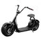 1000w 1500w 2000w Lốp to béo Coco Harley Xe điện Golf EEC đã được phê duyệt