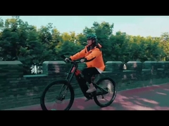 MB-01 BICICLETA ELETRICA toàn bộ hệ thống treo xe đạp điện giảm xóc giữa xe đạp điện 27,5 inch 250w