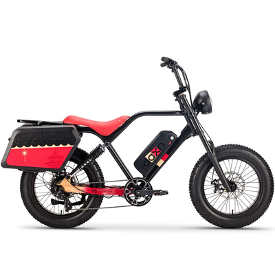 250W 750w Elektrische Fiets Pin xe đạp 48v 20AH Lốp béo cho người lớn