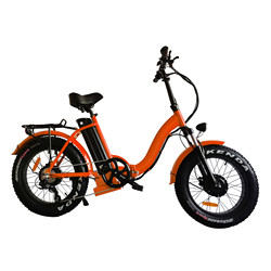 Dolphin Shape 36v 10ah Electric Hybrid Bike Sạc nhanh